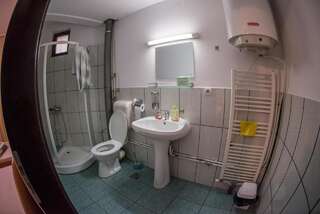 Гостевой дом Pensiunea Dalia Войняса Трехместный номер с собственной ванной комнатой-1